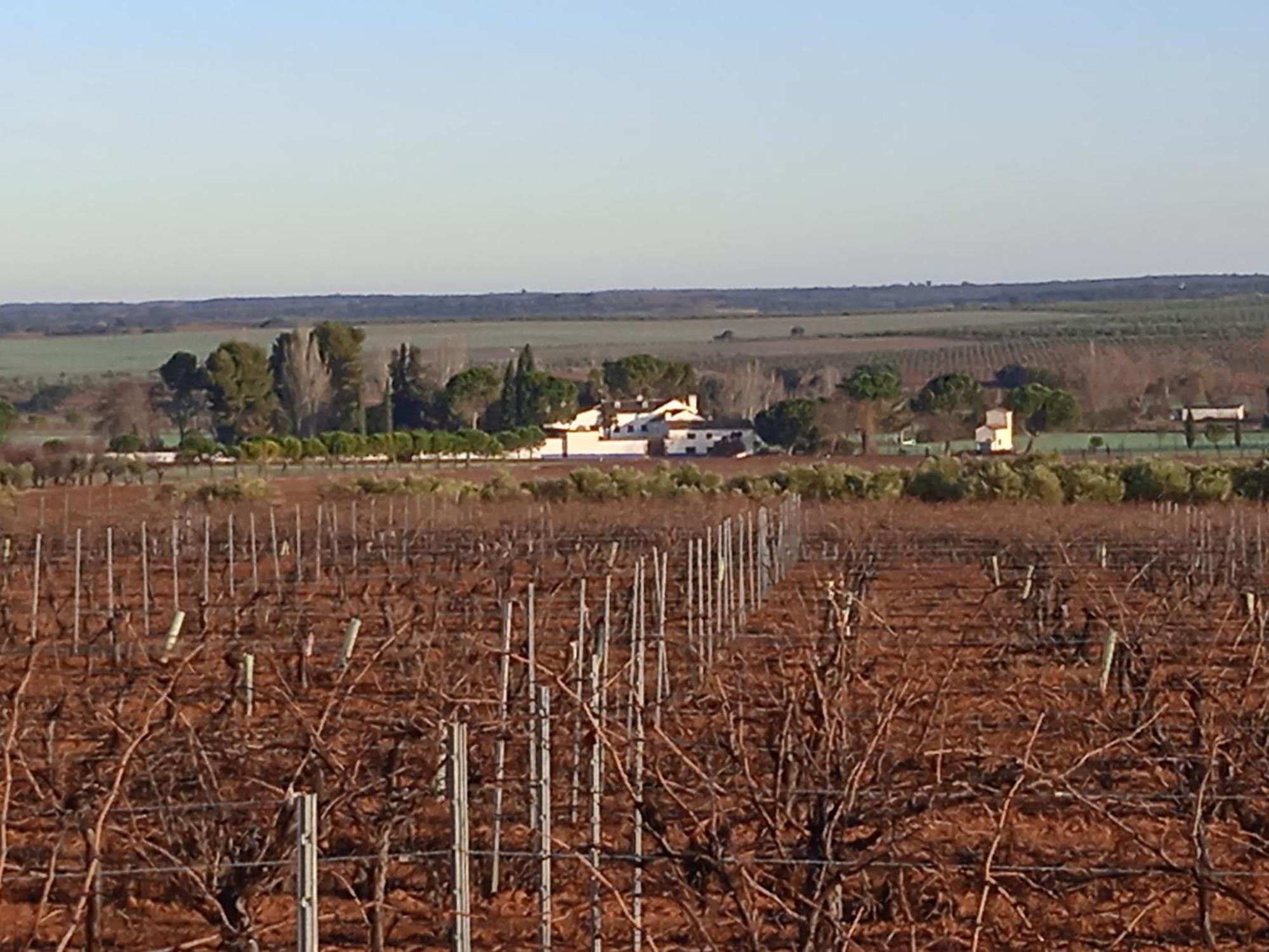 Casa Rural Senorio De Quevedo Villanueva De Los Infantes Eksteriør billede
